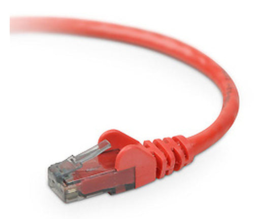 Belkin CAT6 Snagless 100 ft networking cable