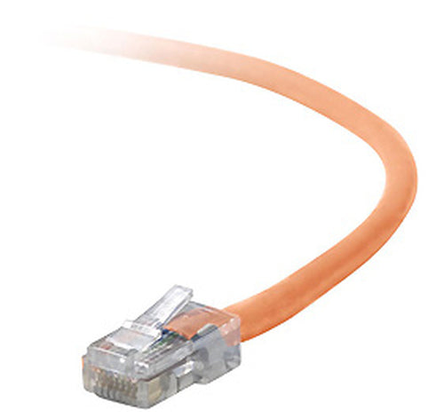 Belkin RJ45 CAT5e Patch Cable 2 ft networking cable