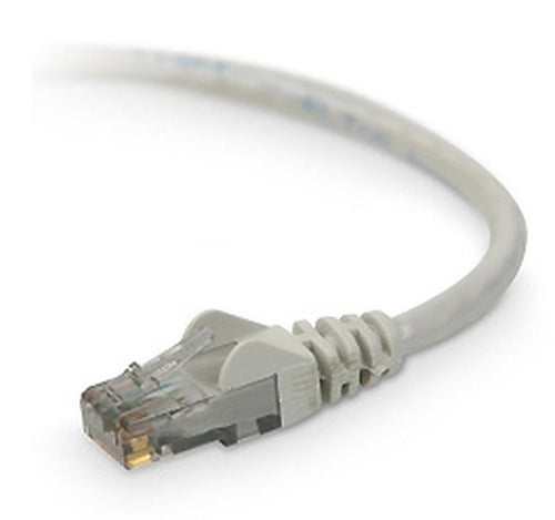Belkin CAT6 Snagless 100 ft networking cable