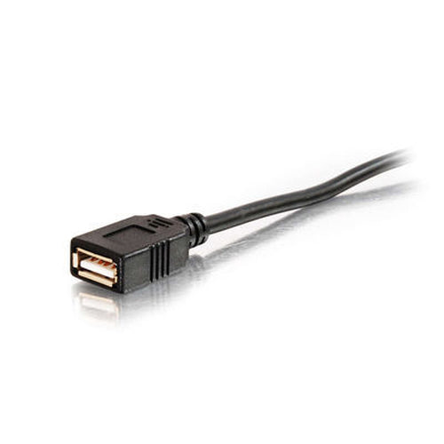 C2G 38999 USB cable